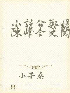 小说公与媳瑶瑶陈峰全文阅读