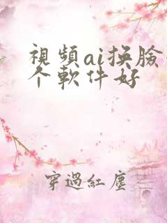 视频ai换脸哪个软件好