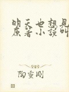 明天也想见到你原著小说叫什么