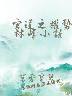 官道之权势滔天 林峰小说