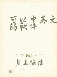 可以中英文翻译的软件