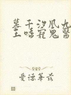 慕千汐凰九夜邪王嗜宠鬼医狂妃