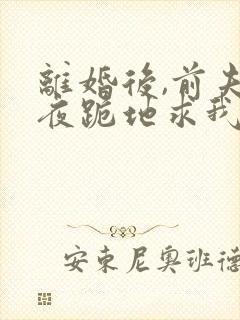 离婚后,前夫雨夜跪地求我复婚