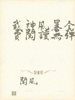 武神风暴全文免费阅读无弹窗笔趣阁
