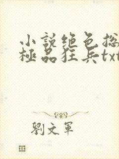 小说绝色总裁的极品狂兵txt下载