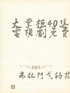 大掌柜40集全电视剧免费