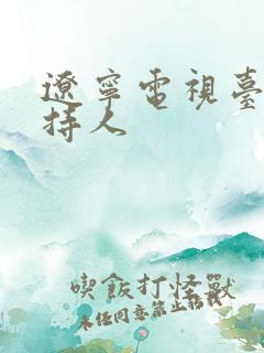 辽宁电视台女主持人