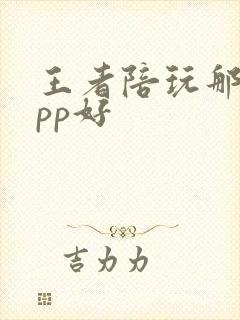王者陪玩那个app好