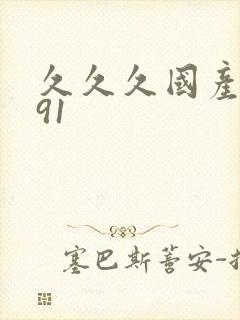 久久久国产精品91