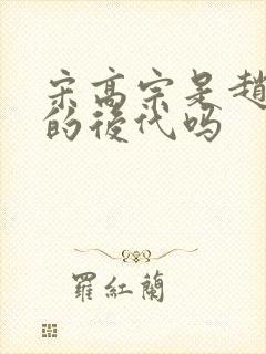 宋高宗是赵匡胤的后代吗