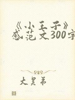 《小王子》读后感范文300字