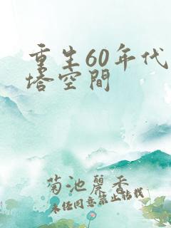 重生60年代宝塔空间