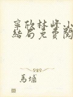 宁欣林峰小说大结局免费阅读