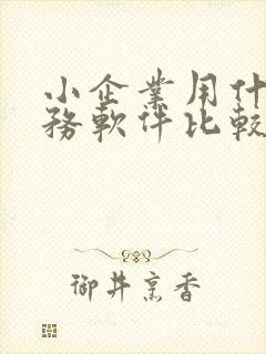 小企业用什么财务软件比较好
