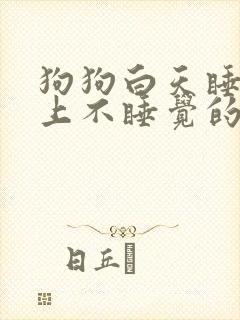 狗狗白天睡觉晚上不睡觉的原因