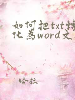 如何把txt转化为word文档