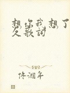 想你我想了那么久歌词