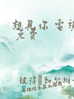 想见你 电视剧 免费