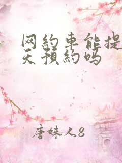 网约车能提前一天预约吗