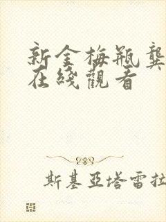 新金梅瓶龚玥菲在线观看