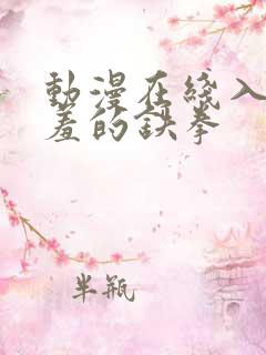 动漫在线入口羞羞的铁拳