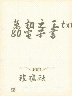 万相之王txt80电子书