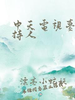 中天电视台女主持人