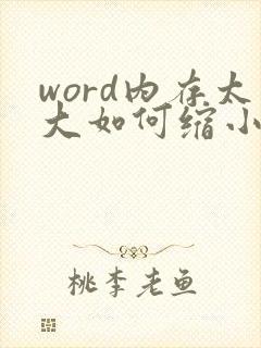 word内存太大如何缩小