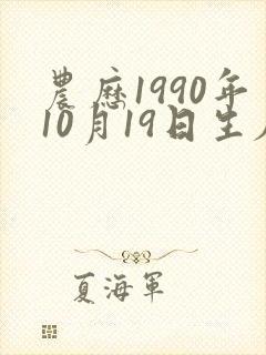 农历1990年10月19日生辰八字