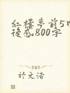 红楼梦前5回读后感800字