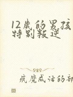 12岁的男孩子特别叛逆