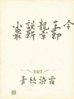 小说龙王令陈平最新章节