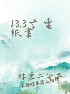 13.3寸 电纸书
