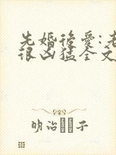 先婚后爱:老公很凶猛全文小说免费阅读全文