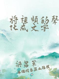 将视频的声音转化成文字