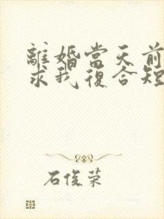 离婚当天前夫跪求我复合短剧女主角