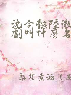 沈今懿陆徽时短剧叫什么名字