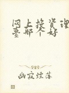 网上投资理财平台哪个好
