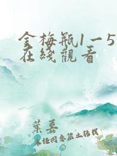 金梅瓶1一5集在线观看