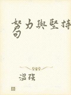 努力与坚持的金句