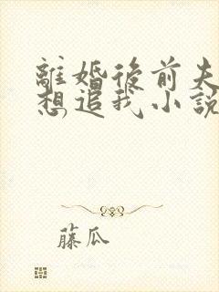 离婚后前夫总是想追我小说