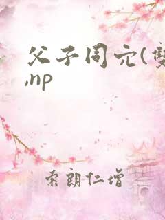 父子同穴(双性,np
