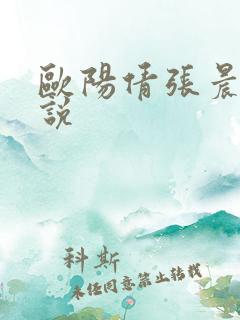 欧阳倩张晨初小说
