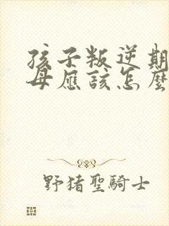 孩子叛逆期,父母应该怎么跟他沟通