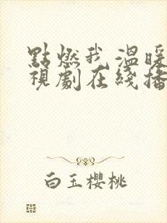 点燃我温暖你电视剧在线播放高清