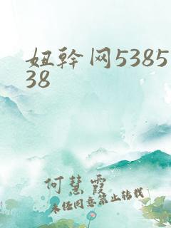 妞干网538538