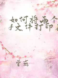 如何将两个pdf文件打印在一张纸上