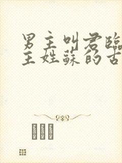 男主叫君临渊女主姓苏的古言小说