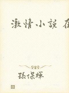 激情小说 在线