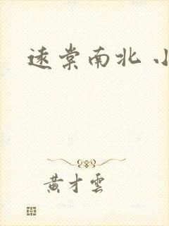 远棠南北 小说